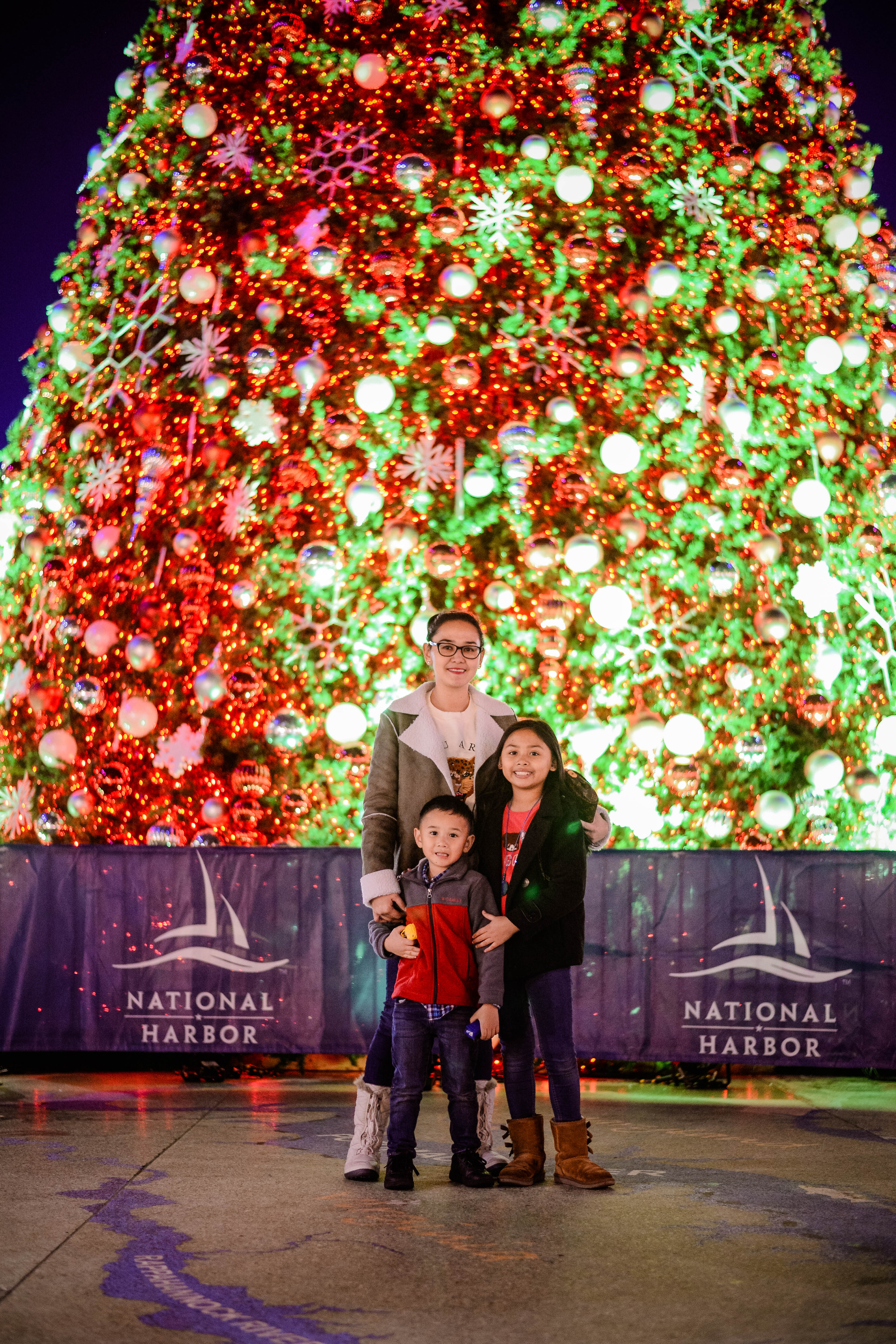Things to Do in DC, MD, VA During the Holidays